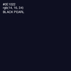 #0E1022 - Black Pearl Color Image